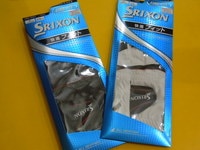 スリクソングローブ２０１３　２.jpg