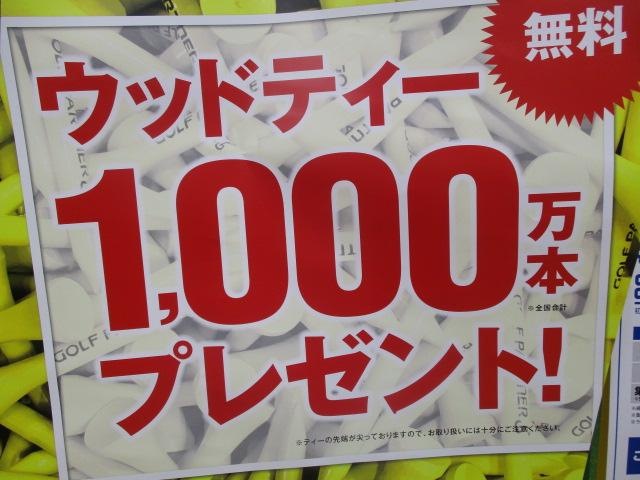 今年も来ました！！