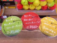 DSCN7759.JPG