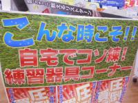 DSCN7763.JPG