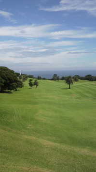 2011082410360001.jpg
