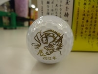 DSC09155.JPG