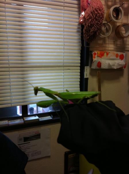 201311061.jpg