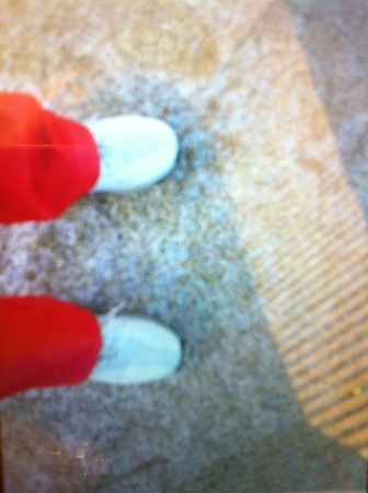 2012121207.jpg