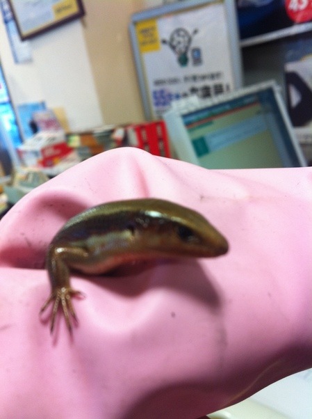 120130411 001.jpg