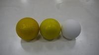 P1020401.JPG