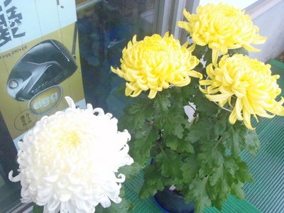 PB041532.JPG