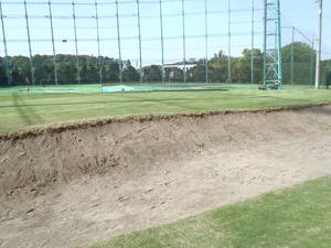 P4253465.JPG