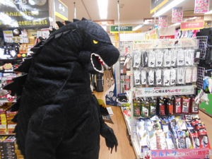 DSCN8207.JPG