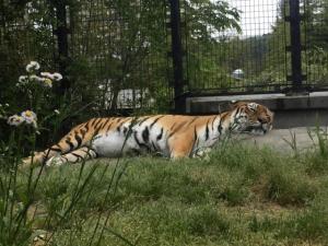IMG_2147.JPG