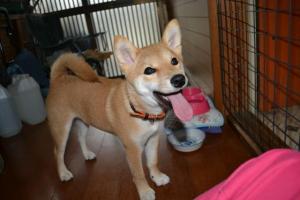 IMG_3648[1].JPG