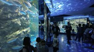 IMG_4307[1].JPG