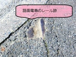 CIMG4816.JPG
