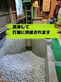 CIMG4810.JPG