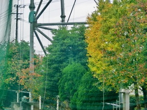 CIMG7871.JPG