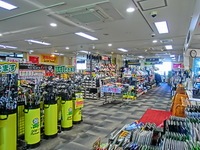 CIMG6179.JPG