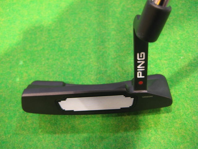 PING2.JPG