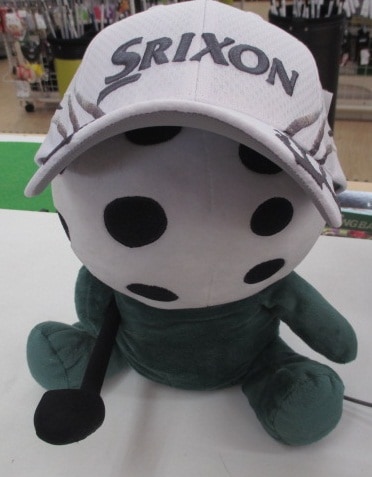 cap6.JPG