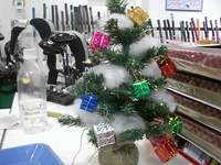 X'mas2 005.jpg