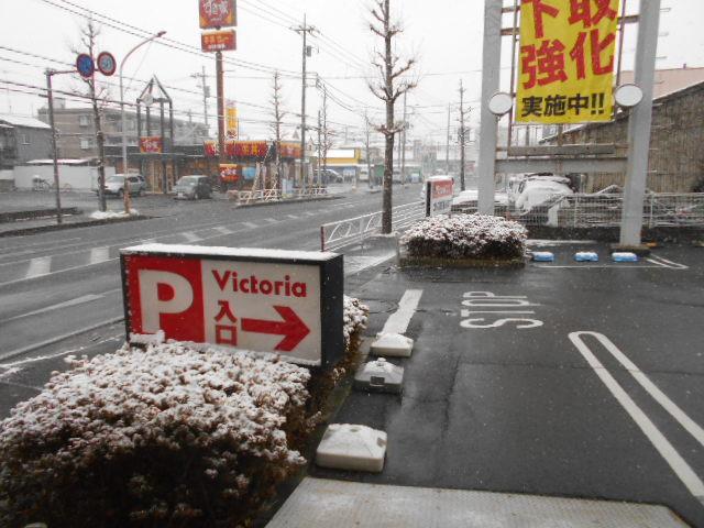 雪景色。。。