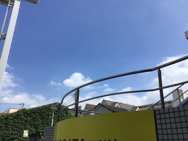 晴れました！