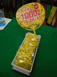 DSCN8686.JPG