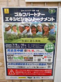 DSCN8711.JPG