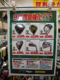 DSCN8728.JPG