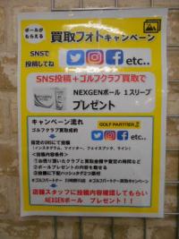 DSCN8731.JPG