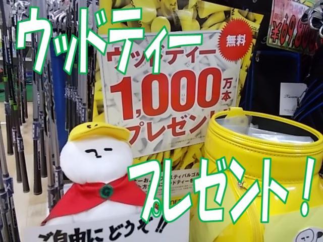 ウッドティー無料プレゼント！！