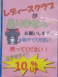 DSCN0655.JPG