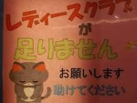 レディースクラブ大募集中