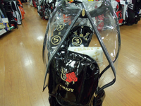 20030416 1.BMP