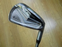 VIQ F.JPG