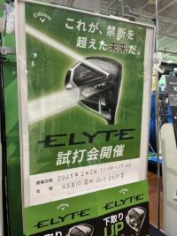 IMG_3752[1].JPG