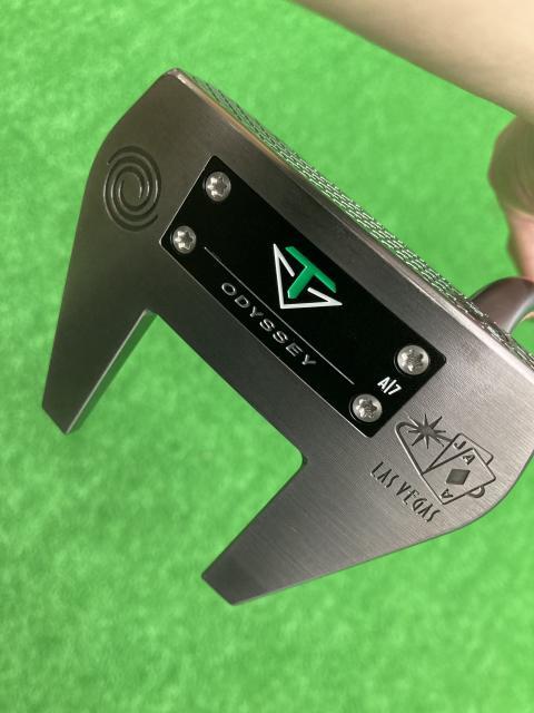 ＴＯＵＬＯＮ　ＤＥＳＩＧＮ　ＬＡＳ　ＶＥＧＡＳ（２０１９）（フローネック）　３４インチ