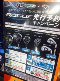rogue6.jpg