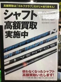 IMG_0530.jpeg