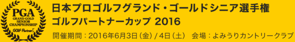 logo_pc2016.gif