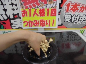 CIMG0204.JPG