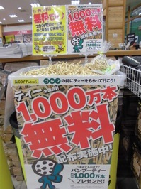 CIMG0517.JPG