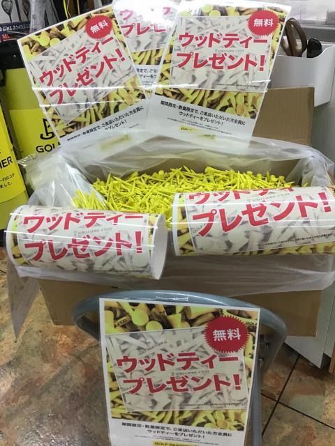 数量限定！ウッドティをプレゼント