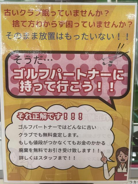 限定ドライバー入荷です✨