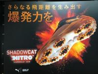 IMG_0810.jpeg