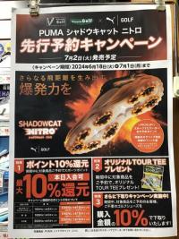 IMG_0812.jpeg