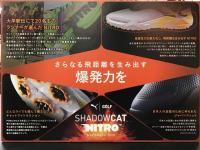 IMG_0815.jpeg