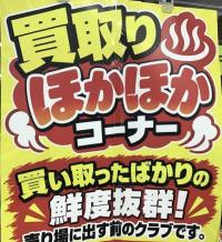 今週のほかほか♨コーナー