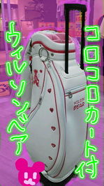 ウィルソンＣＢ.jpg