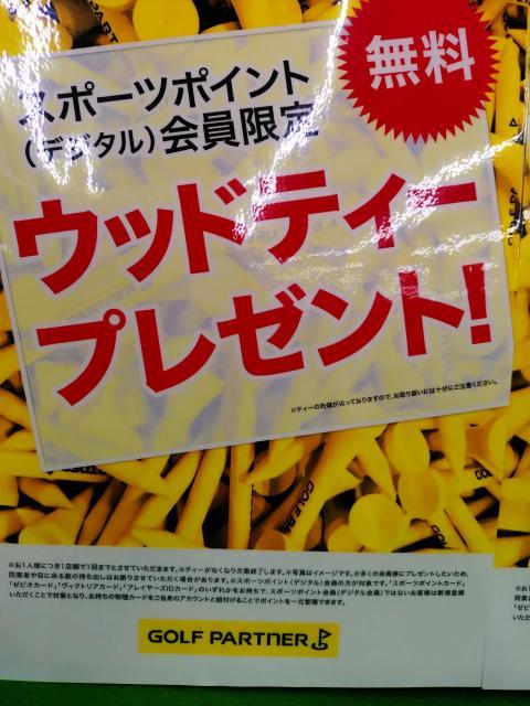 ウッドティープレゼント中です⛳