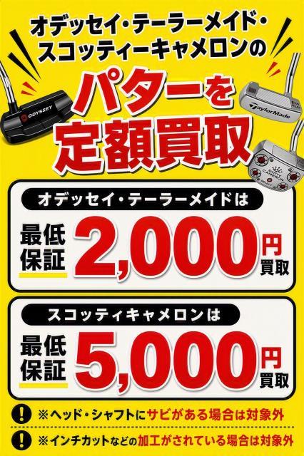 定額買取の実施【パター】